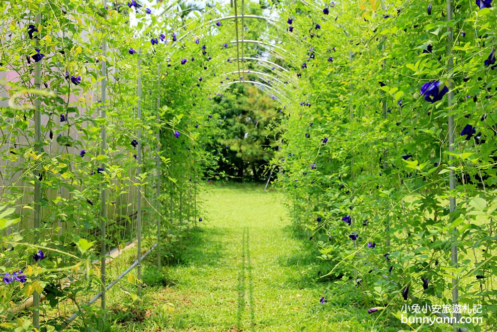 嘉義景點》幸福山丘happyhill,小山丘上的貨櫃屋,藍天下眺望嘉義美景 嘉義景點》幸福山丘happyhill,小山丘上的貨櫃屋,藍天下眺望嘉義美景