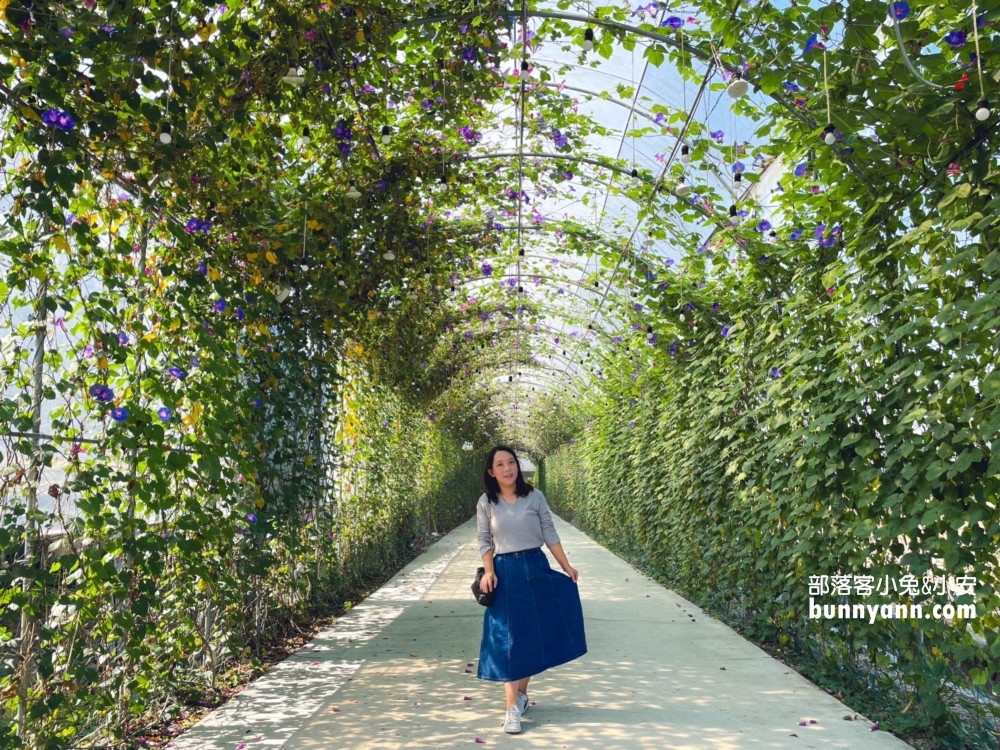 13.嘉義觀光工廠 穀倉農創園區