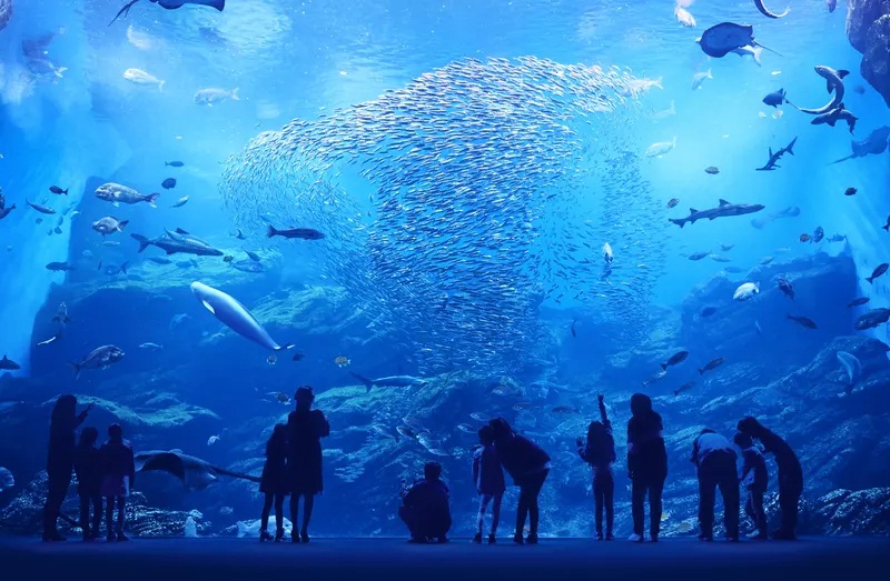 日本【仙台景點】12處觀光旅遊地點,水族館、狐狸村和朝市每個都好玩!