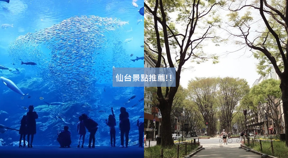 日本【仙台景點】12處觀光旅遊地點,水族館、狐狸村和朝市每個都好玩!
