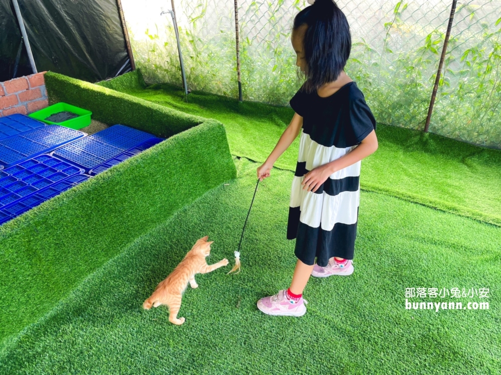 台北小奈良》淡水親子農場,像鄰家後院般的戶外小天地