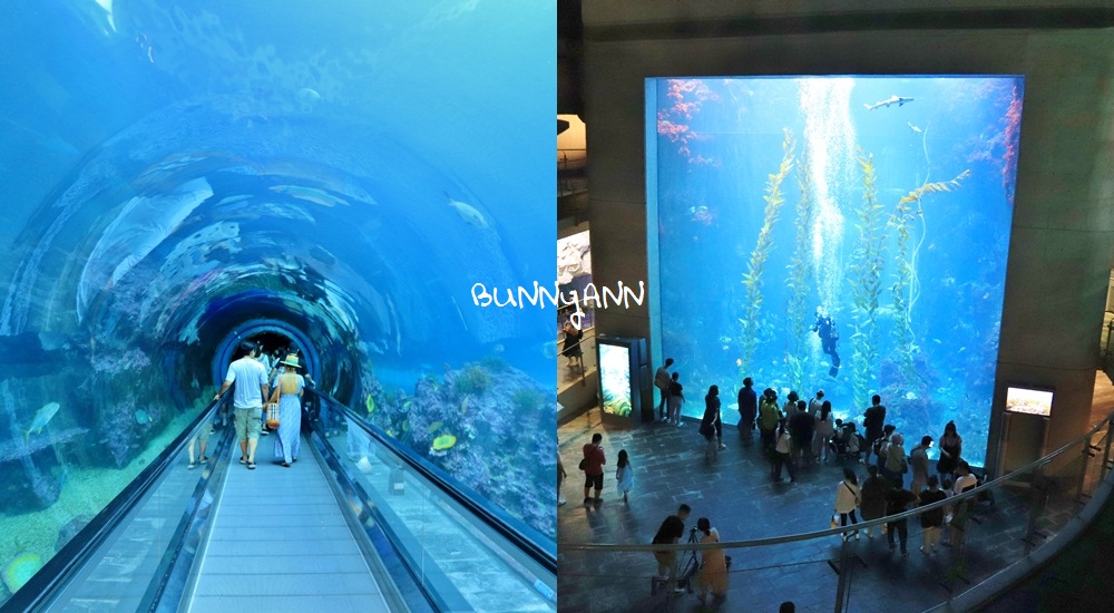 2.屏東海生館,墾丁恆春最佳室內參觀場館