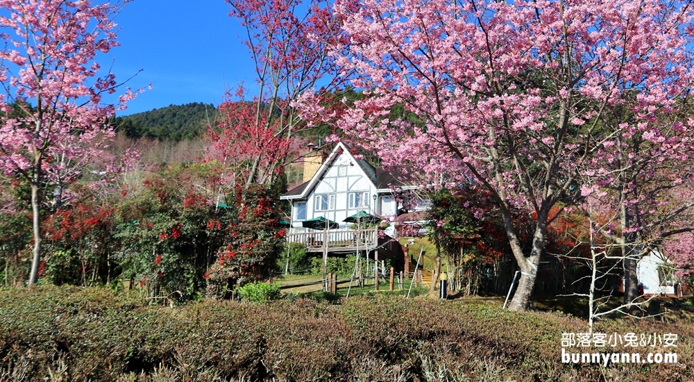 山上人家森林農場