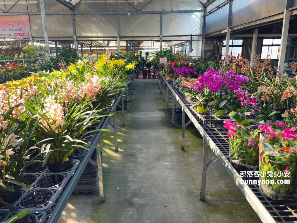 中社烤肉賞花農場，沙坑、遊戲室、戲水池隨你玩