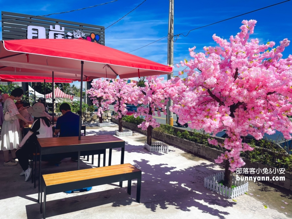 花蓮【月崖灣親子農場】一邊看海一邊餵水豚吃飯真好玩