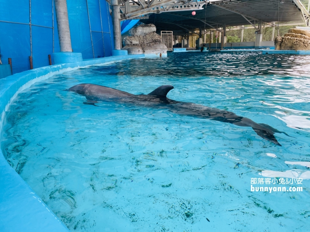 2023【遠雄海洋公園】花蓮必玩遊樂園最新的門票優惠和園區攻略
