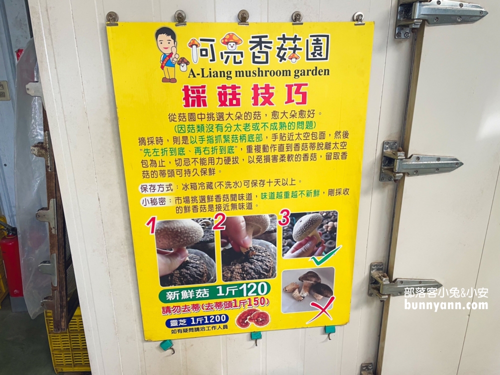 新社景點｜新社香菇園