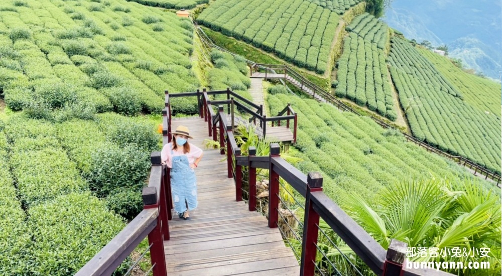 嘉義戶外景點｜霞之道茶步道