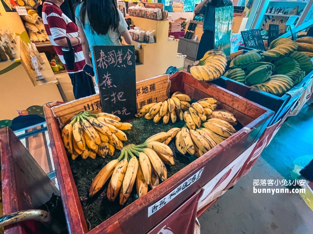 南投jijibanana集元果觀光工廠，好吃好玩免門票的香蕉樂園。