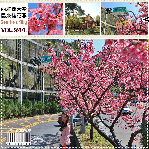 『櫻花旅行』西雅圖的天空，烏來櫻花正美 ! (永久歇業) @小兔小安*旅遊札記