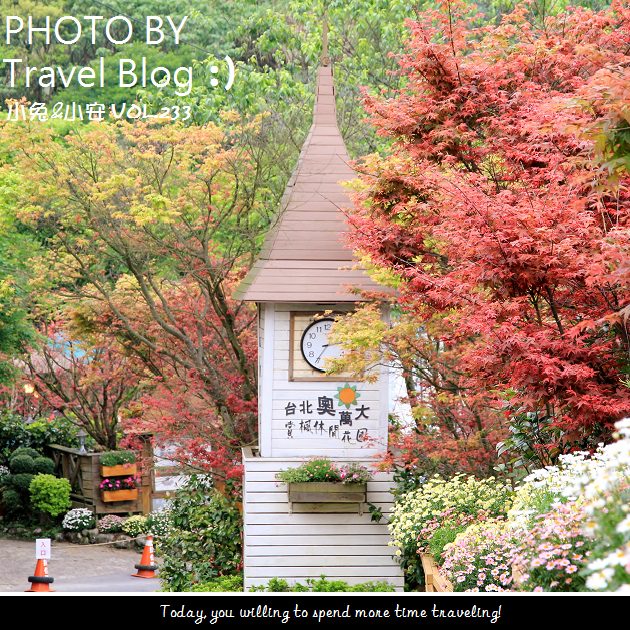 『台北楓紅』陽明山火紅楓葉季，台北奧萬大(4/3轉紅情況) @小兔小安*旅遊札記