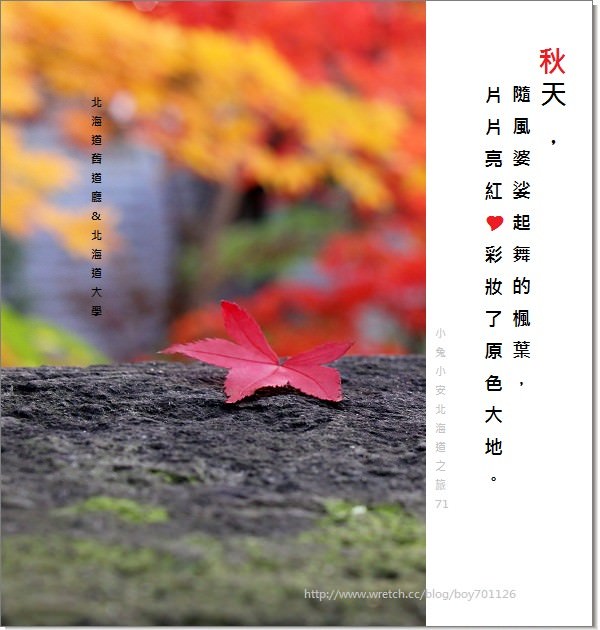 『札幌旅行』探北海道舊道廳紅磚樓，遇見了北大片片楓紅。 @小兔小安*旅遊札記