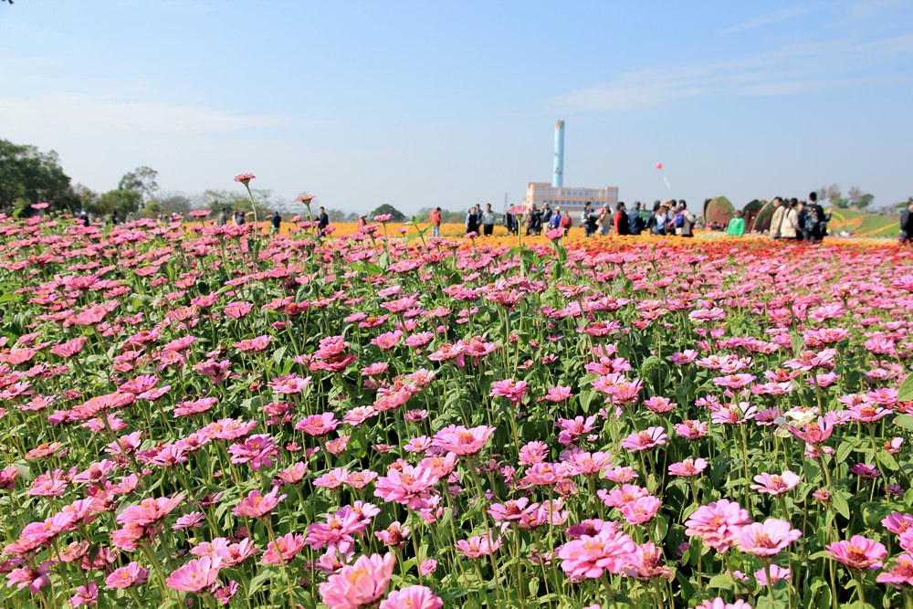 台中2017后里花毯節 | 走進美麗繽紛花卉地毯賞花趣~