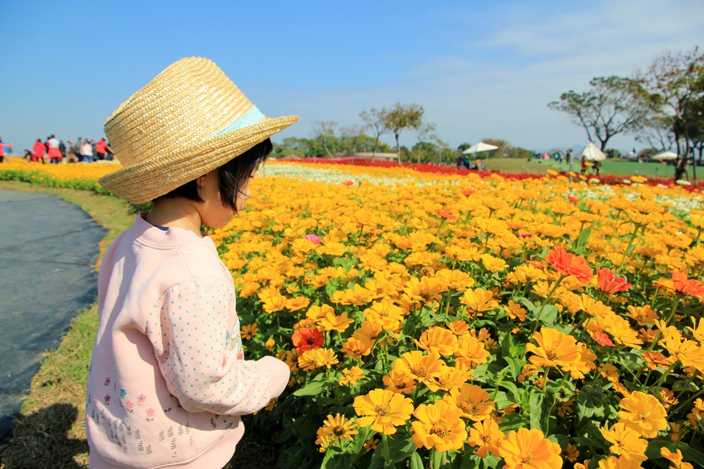 台中2017后里花毯節 | 走進美麗繽紛花卉地毯賞花趣~