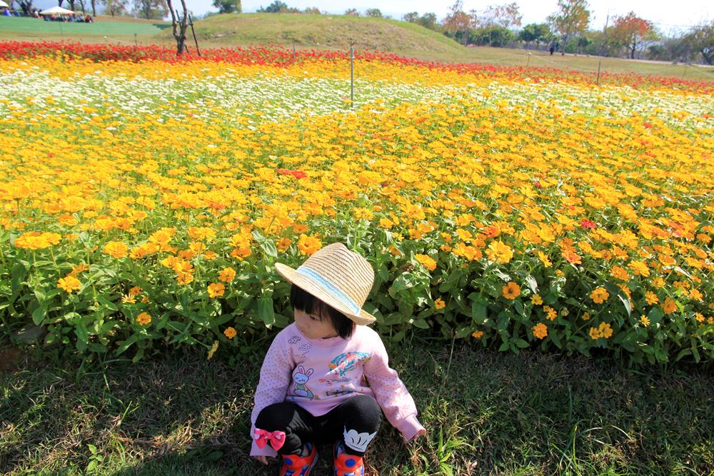 台中2017后里花毯節 | 走進美麗繽紛花卉地毯賞花趣~