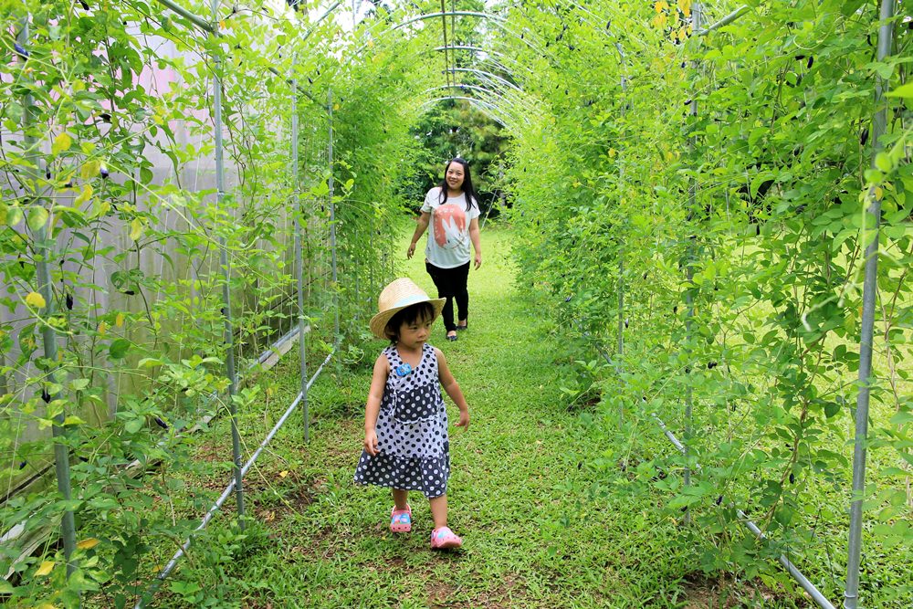 台灣旅遊 | 小兔網誌2017後半年十大熱搜人氣景點!!