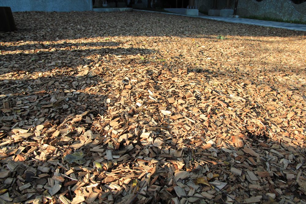 【天母東和公園】免費玩兩層樓旋轉溜滑梯，湯姆歷險記森林遊樂場真棒。
