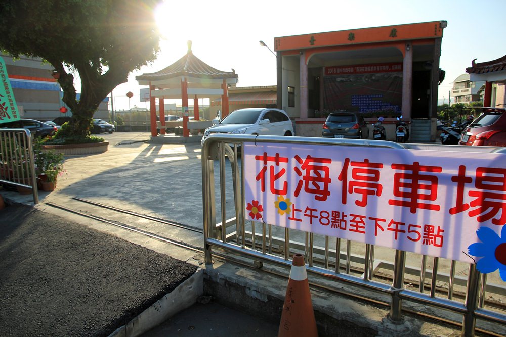 台中中科落羽松 | 廣福落羽松，夢幻水中落雨松林，本景點已經歇業關園！~