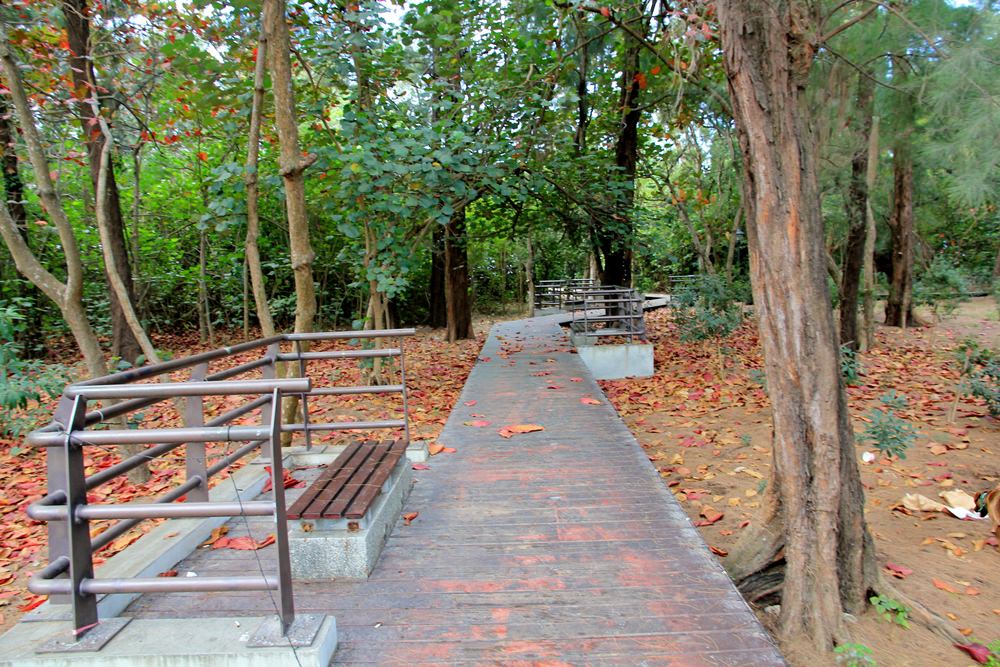 台南景點》2021漁光島藝術節，漁光島湛藍月牙灣，海岸森林，獨立島嶼等你來~