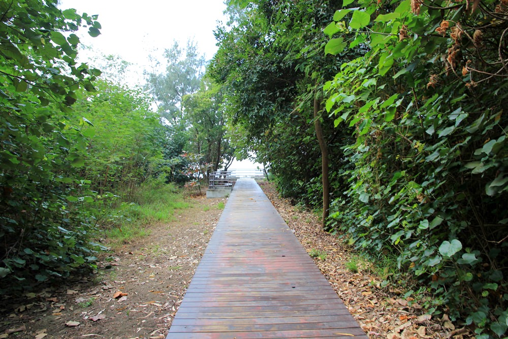 台南景點》2021漁光島藝術節，漁光島湛藍月牙灣，海岸森林，獨立島嶼等你來~