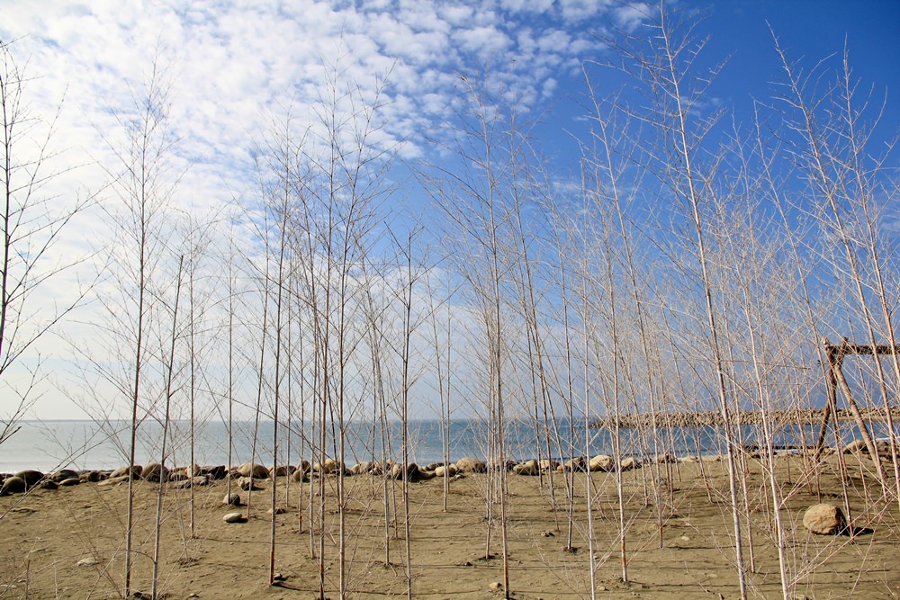 台南景點》2021漁光島藝術節，漁光島湛藍月牙灣，海岸森林，獨立島嶼等你來~