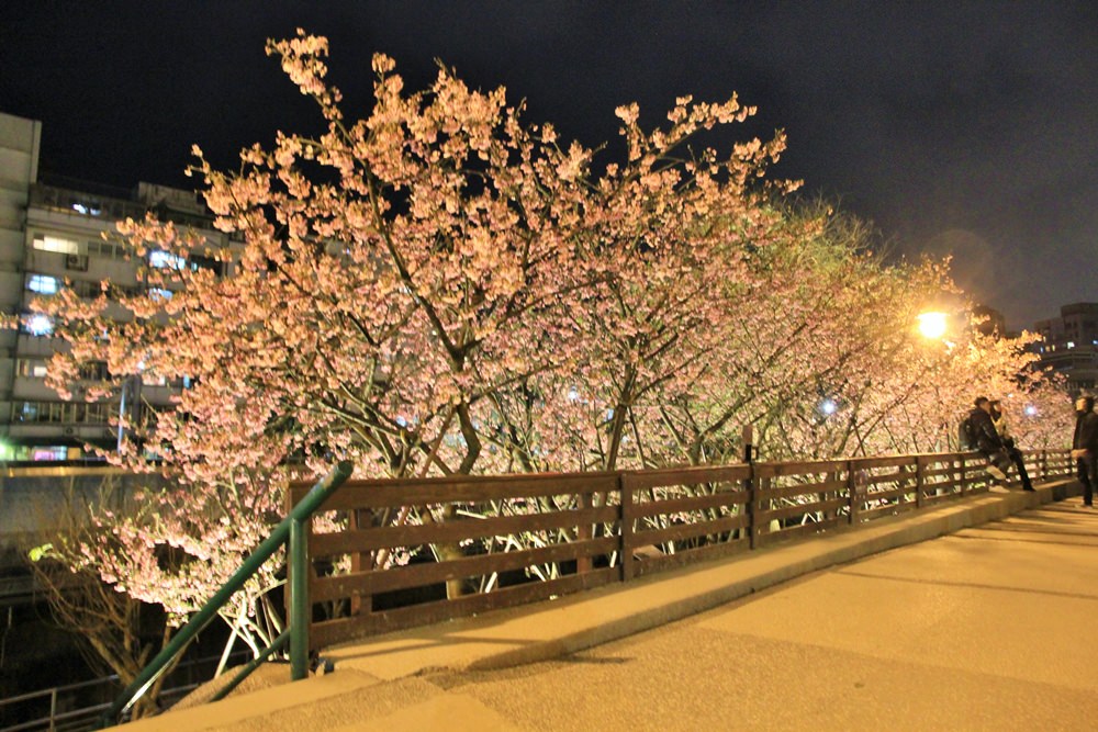 台北櫻花季 | 東湖樂活公園夜櫻粉紅風暴，河畔櫻花林越夜越浪漫~