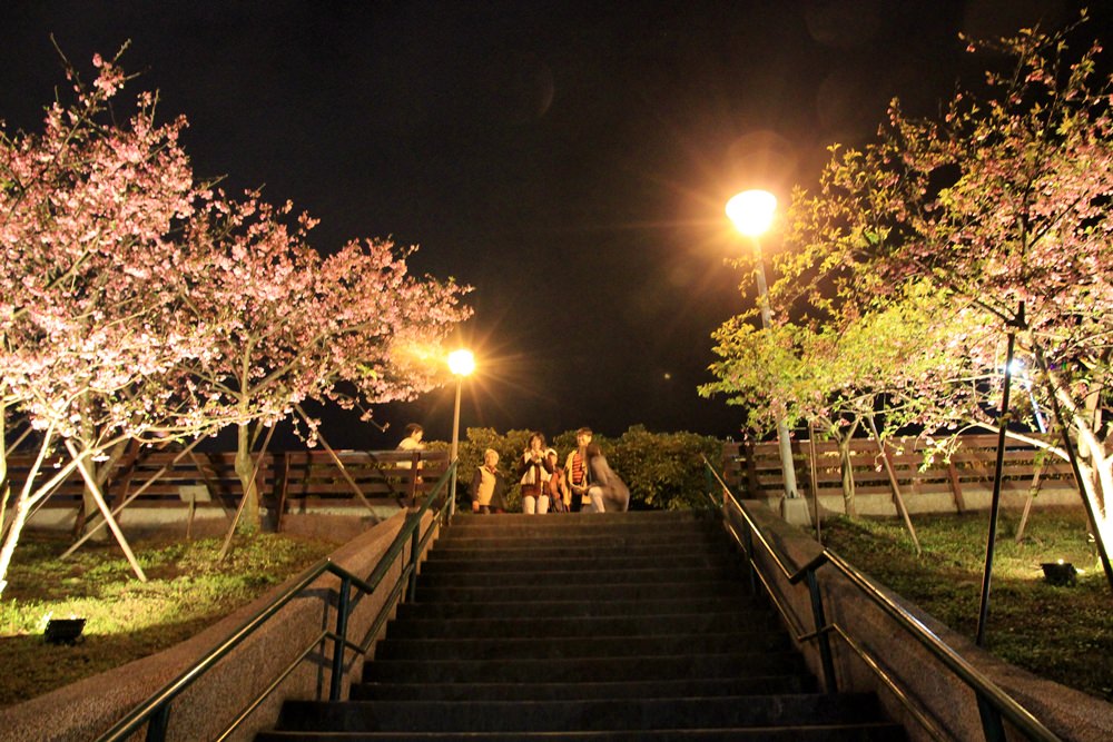 台北櫻花季 | 東湖樂活公園夜櫻粉紅風暴，河畔櫻花林越夜越浪漫~