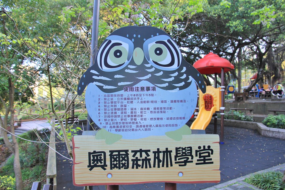 虎頭山【奧爾森林學堂】貓頭鷹教授帶你玩樹屋、水管溜滑梯森林半日遊