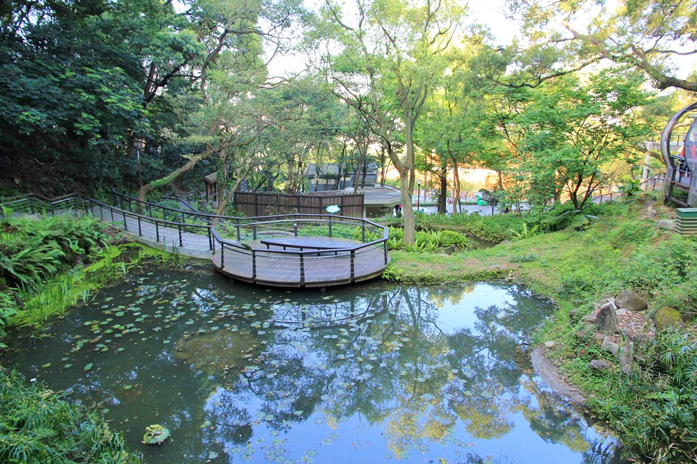 虎頭山【奧爾森林學堂】貓頭鷹教授帶你玩樹屋、水管溜滑梯森林半日遊
