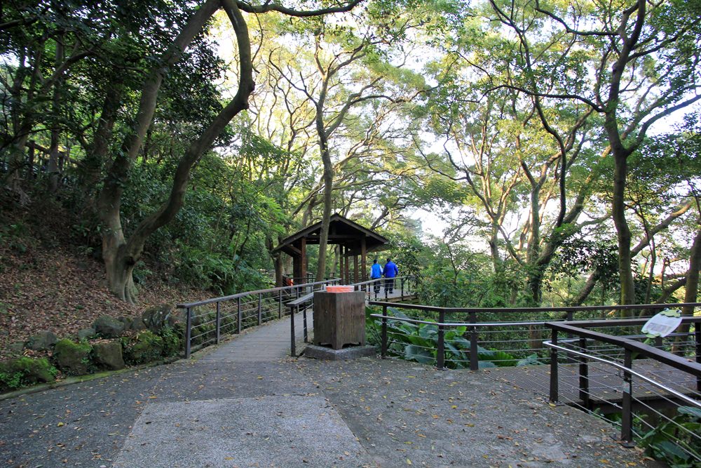 虎頭山【奧爾森林學堂】貓頭鷹教授帶你玩樹屋、水管溜滑梯森林半日遊
