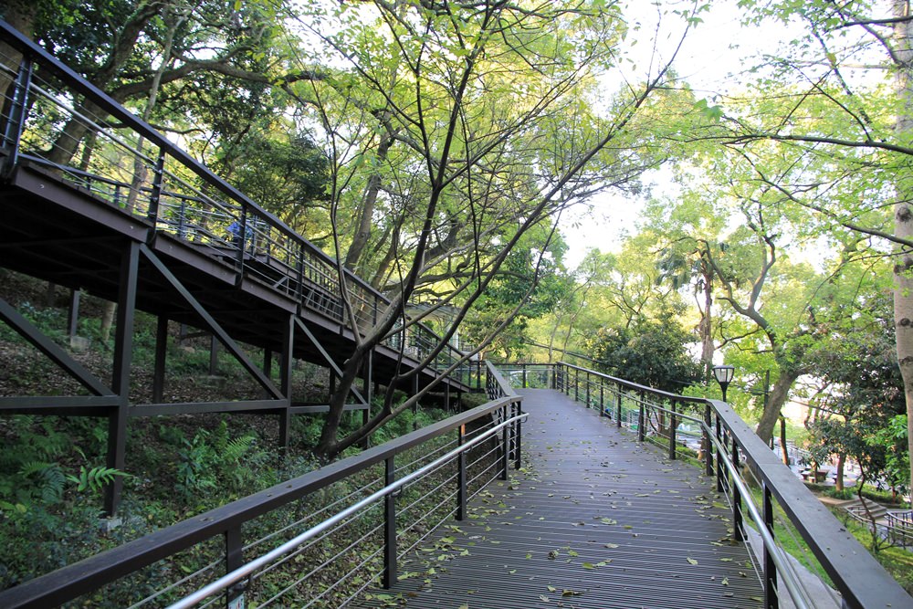 虎頭山【奧爾森林學堂】貓頭鷹教授帶你玩樹屋、水管溜滑梯森林半日遊