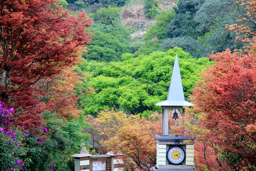 台北陽明山奧萬大樂活莊園，賞楓紅最佳景點，門票資訊介紹!!