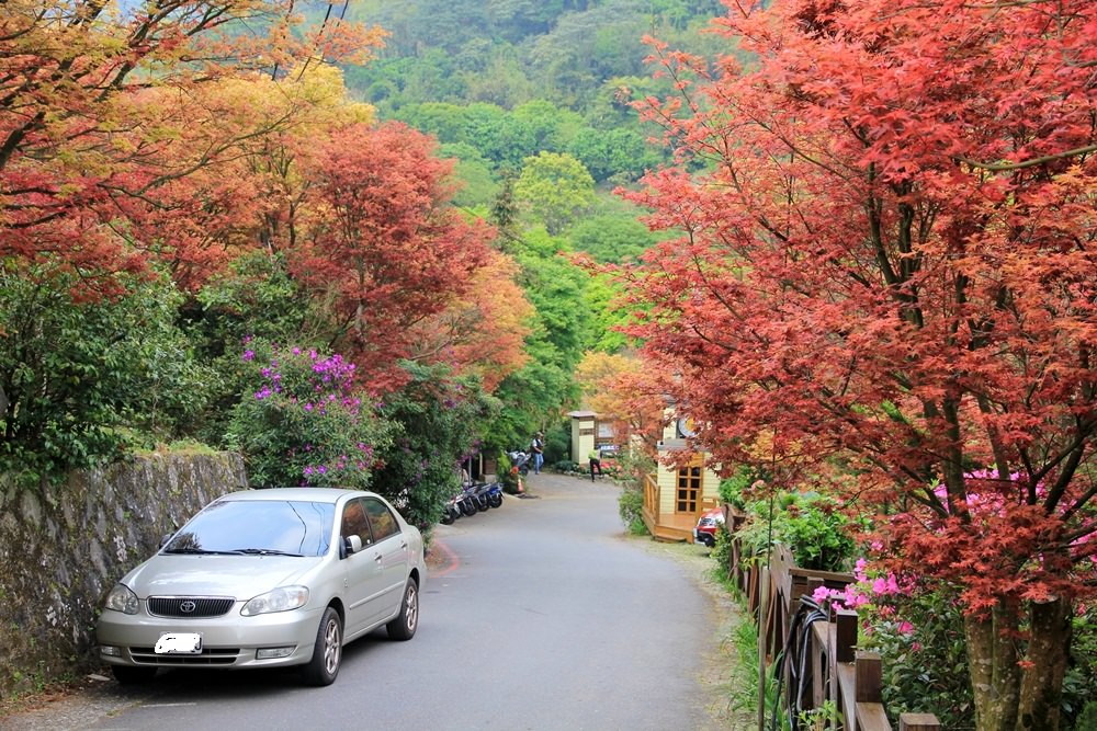 台北陽明山奧萬大樂活莊園，賞楓紅最佳景點，門票資訊介紹!!