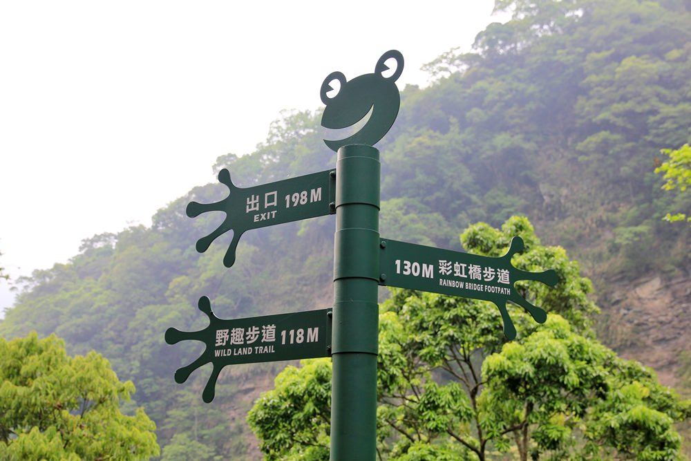 新竹尖石【青蛙石天空步道】深山裡的玻璃景觀平台，欣賞飛瀑好去處