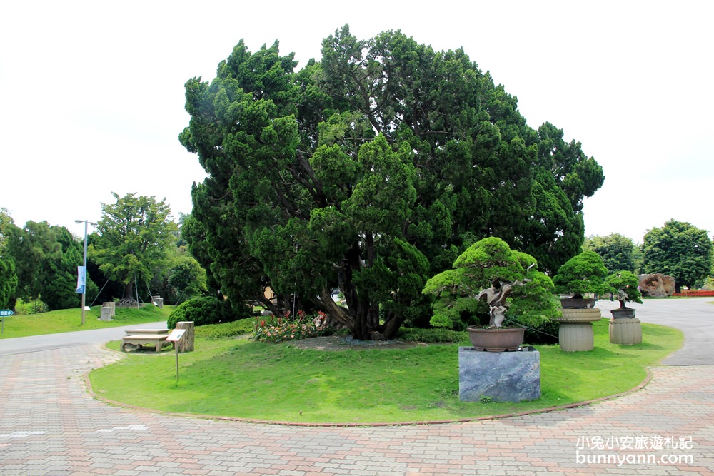 彰化【萬景藝苑】擁有戶外&室內3000坪大的日式園區可以去玩半天