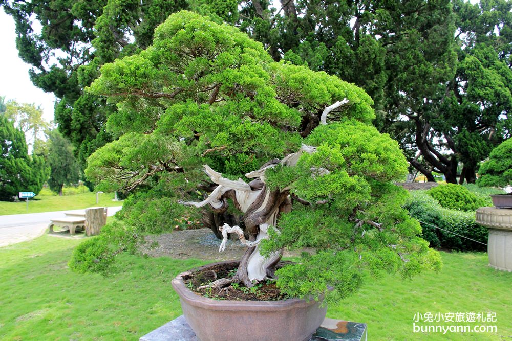 彰化【萬景藝苑】擁有戶外&室內3000坪大的日式園區可以去玩半天