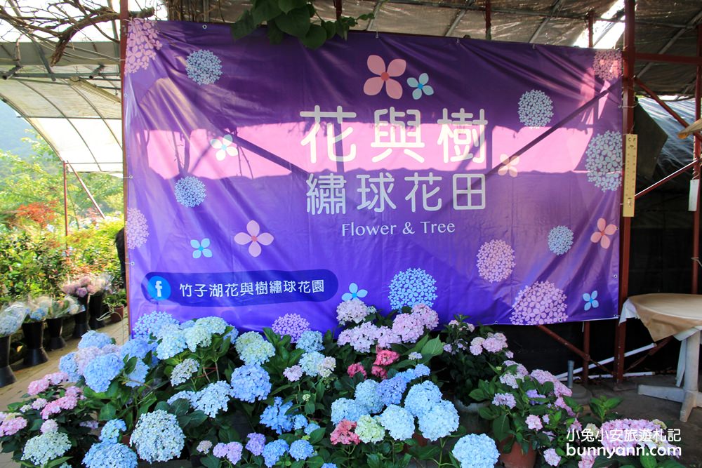 竹子湖「花與樹繡球花園」夢幻系繡球花仙境就在這了