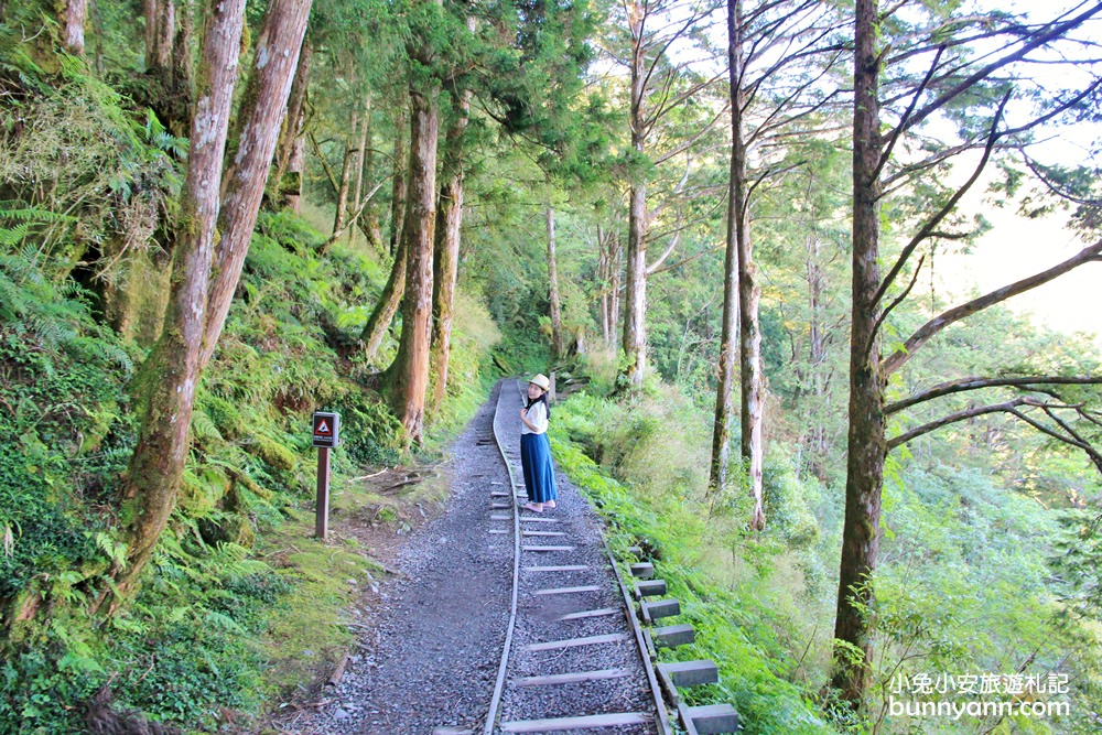2.太平山最美的見晴懷古步道