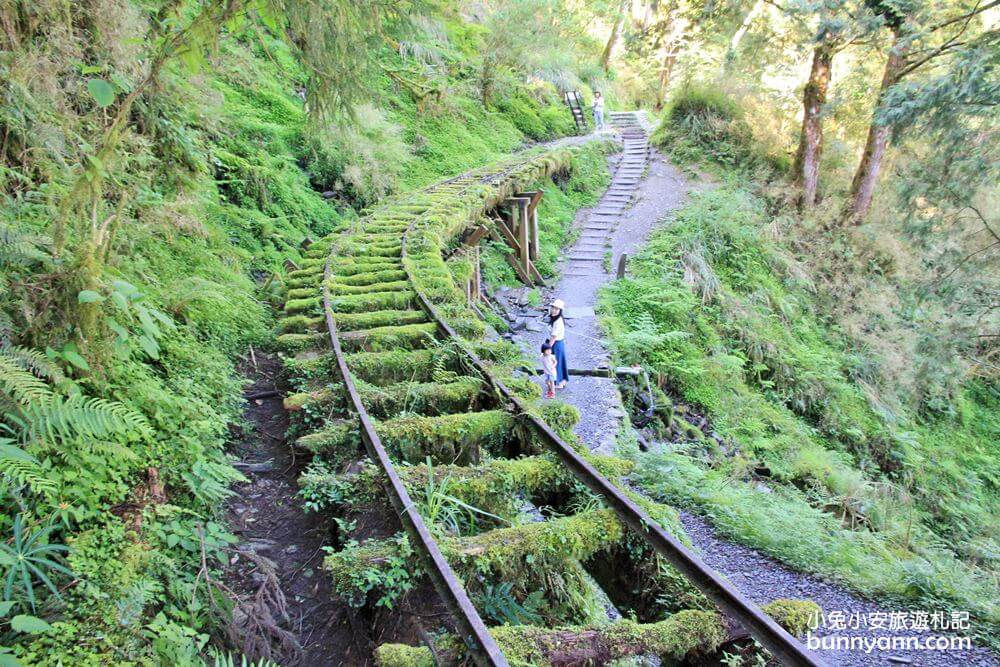 【宜蘭步道推薦】精選15條宜蘭登山步道與森林戶外景點全攻略