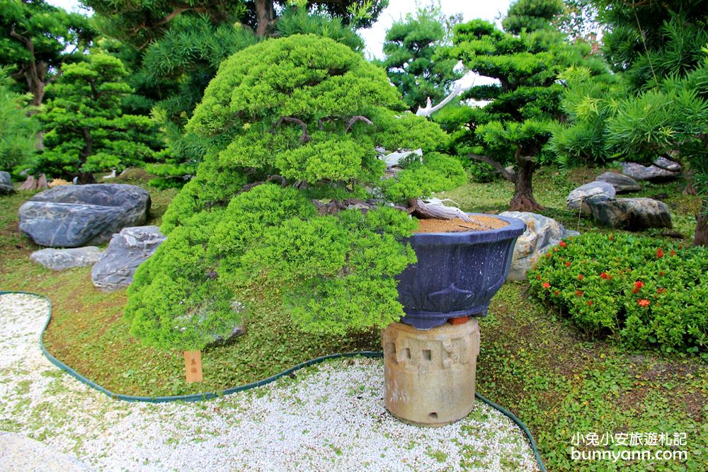 彰化新景點 | 田尾台灣銘園庭園美術館，免費參觀迷你兼六園，秒飛日本庭園名所！