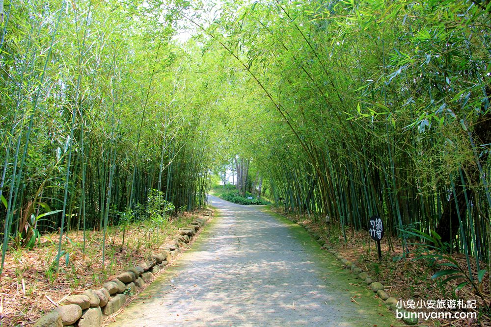 【苗栗天空之城】長滿藤蔓的天空之城景觀餐廳，三義最佳約會地點