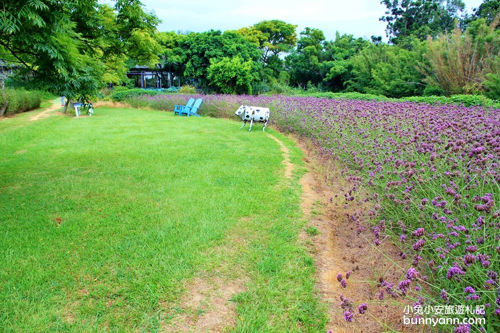 桃園【青林農場】美拍三角玻璃屋、玩迷你賽車門票費用整理