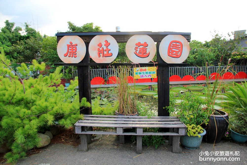 桃園景點》康莊蓮園漂浮大王蓮，走進借物少女艾莉緹世界中～
