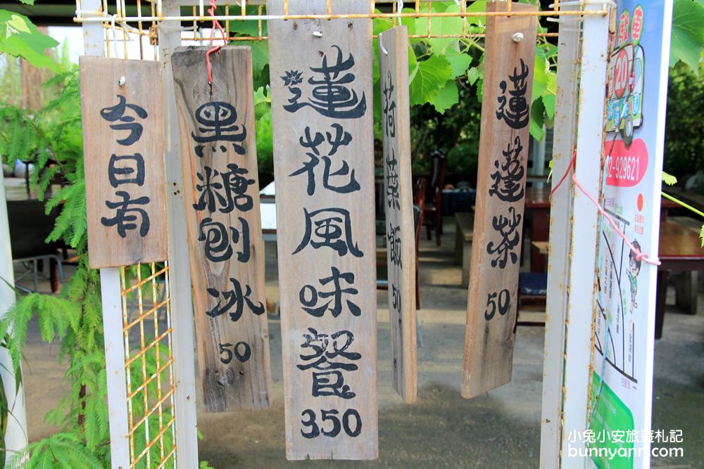 桃園景點》康莊蓮園漂浮大王蓮，走進借物少女艾莉緹世界中～