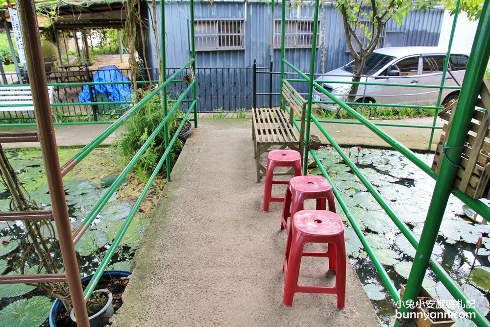 桃園景點》康莊蓮園漂浮大王蓮，走進借物少女艾莉緹世界中～
