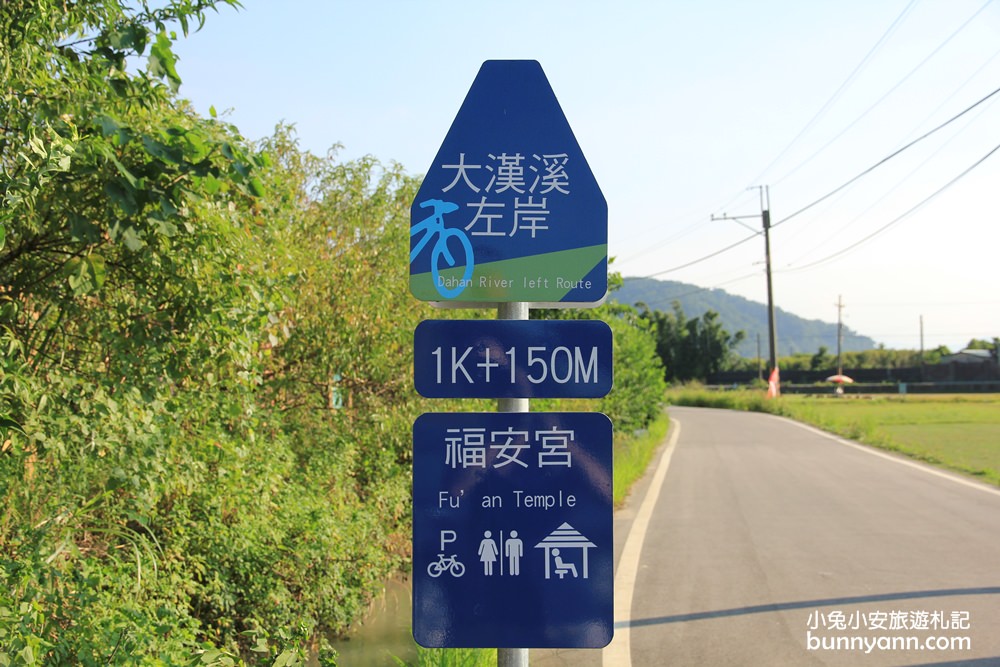 桃園韭菜花》大溪中新里韭菜花田，浪漫鄉間小路九月雪景，美麗韭菜花季盛開中~