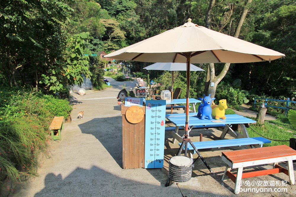 新埔森林鳥花園(已歇業)，超長森林溜滑梯、大樹屋、戲水池整個玩翻天~