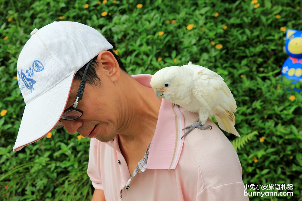新埔森林鳥花園(已歇業)，超長森林溜滑梯、大樹屋、戲水池整個玩翻天~