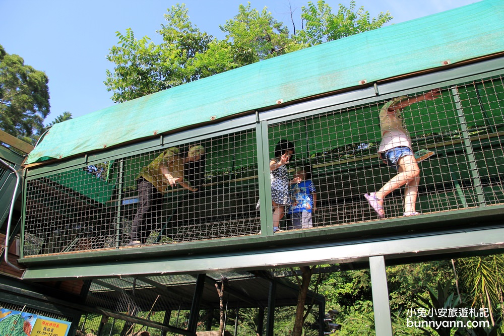 新埔森林鳥花園(已歇業)，超長森林溜滑梯、大樹屋、戲水池整個玩翻天~