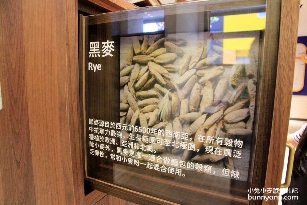 【塔吉特千層蛋糕大使館】好吃千層蛋糕和可愛兔子公爵